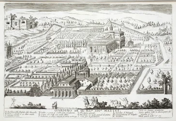 View of the Gardens of the Villa Mattei